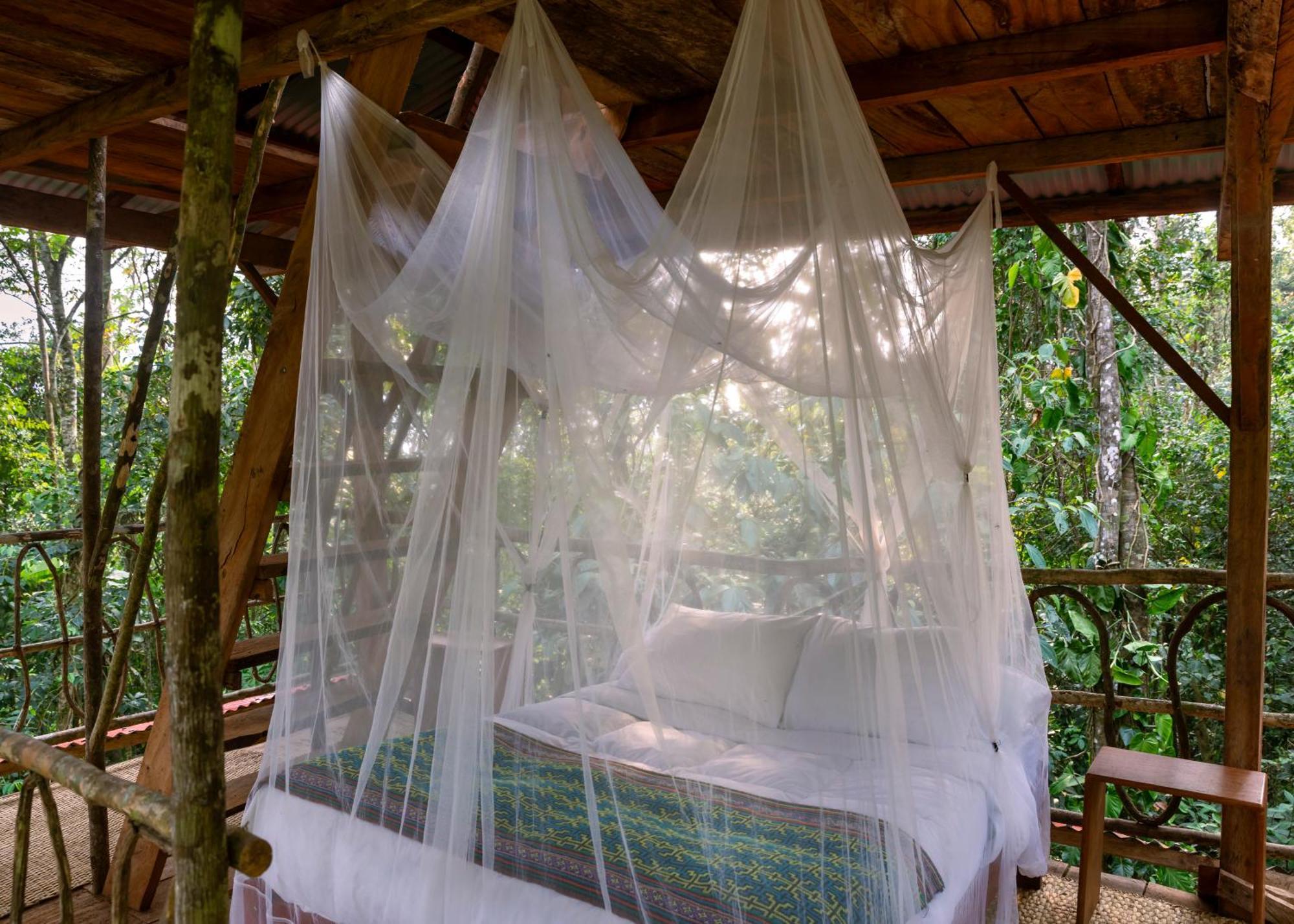 Bosque Guardian Lodge Tarapoto Exterior foto