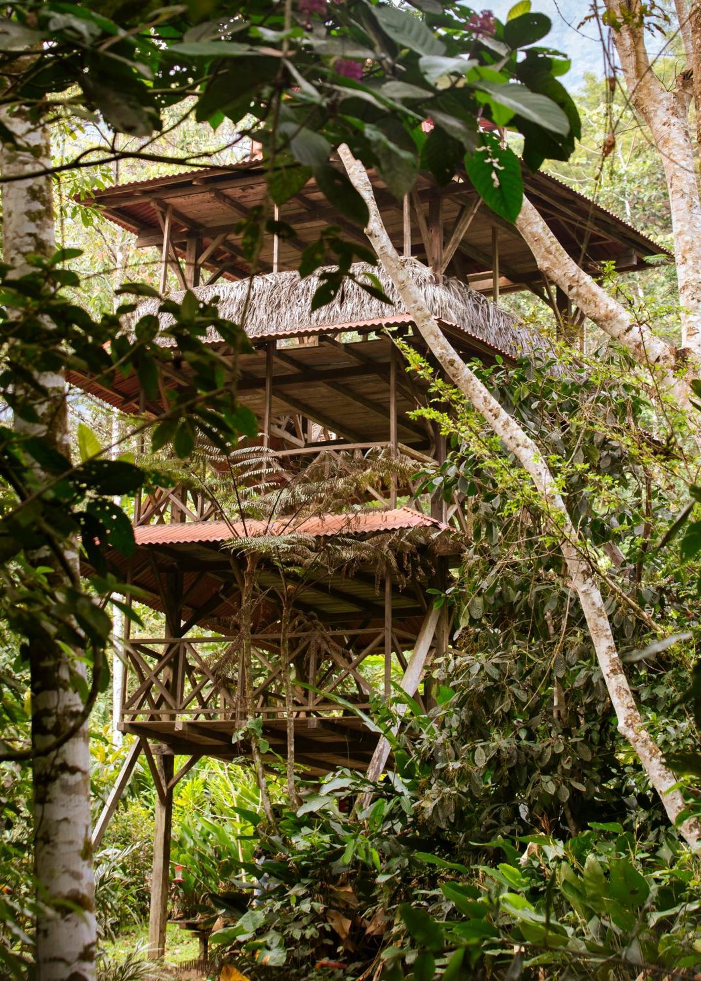 Bosque Guardian Lodge Tarapoto Exterior foto